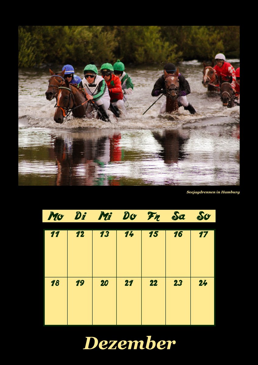 Hindernissport-Kalender 2017 -> Jetzt auch mit Seeungeheuern ;-) Gibts bei kalender@steepler.de <a href="/mjquinlan84/">Mark @ HQ Equestrian</a> <a href="/niklas_loven/">Niklas Lovén</a> <a href="/TomGarner90/">Tom Garner</a>