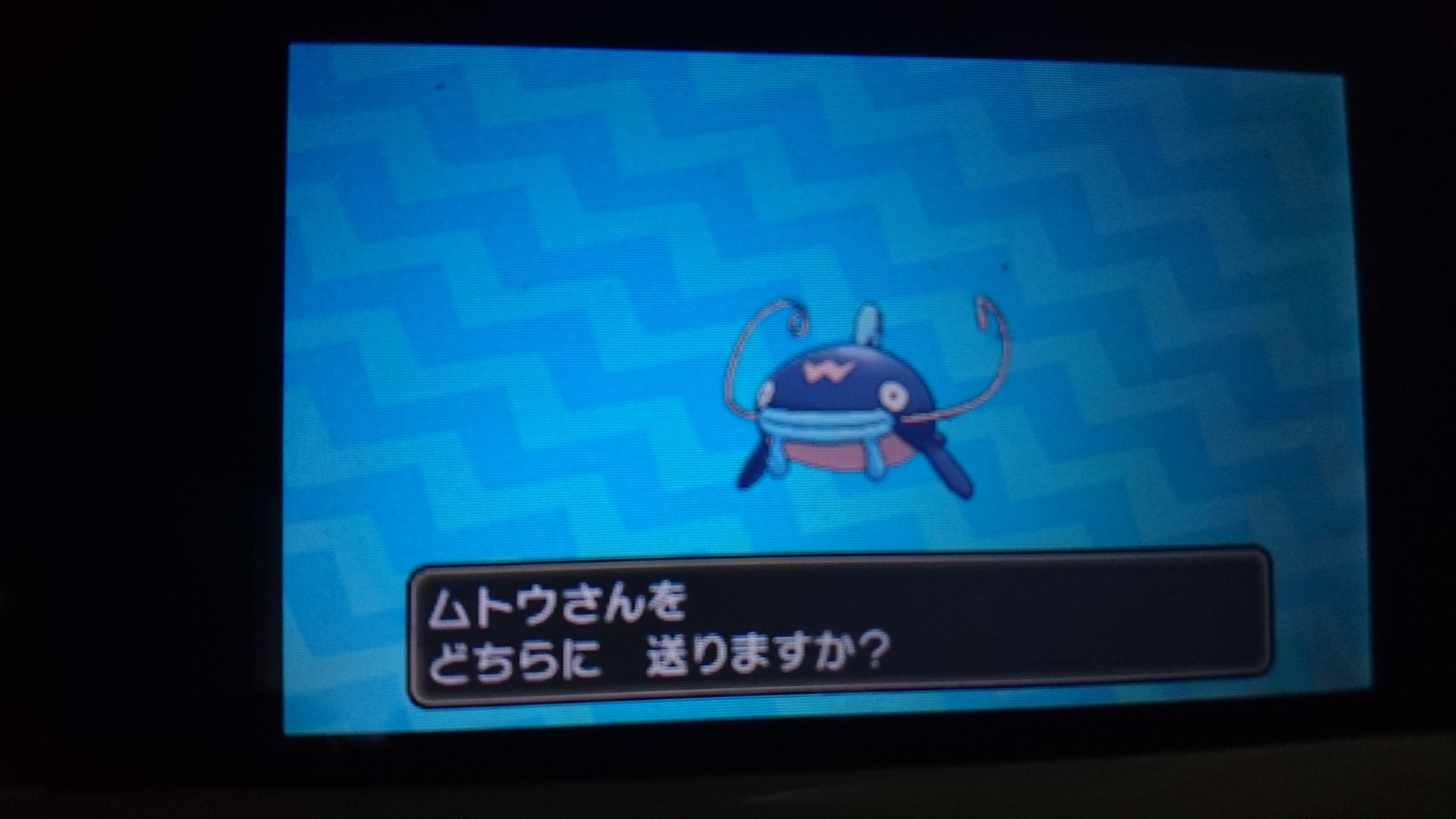 ナマズンの日々 A K Pokemonnamazun Twitter