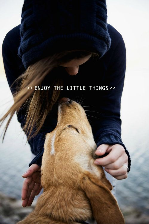 #quote #quoteoftheday