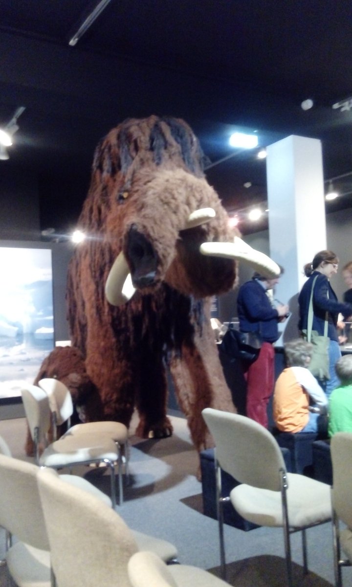 Eiszeitenhh Hashtag On Twitter - 