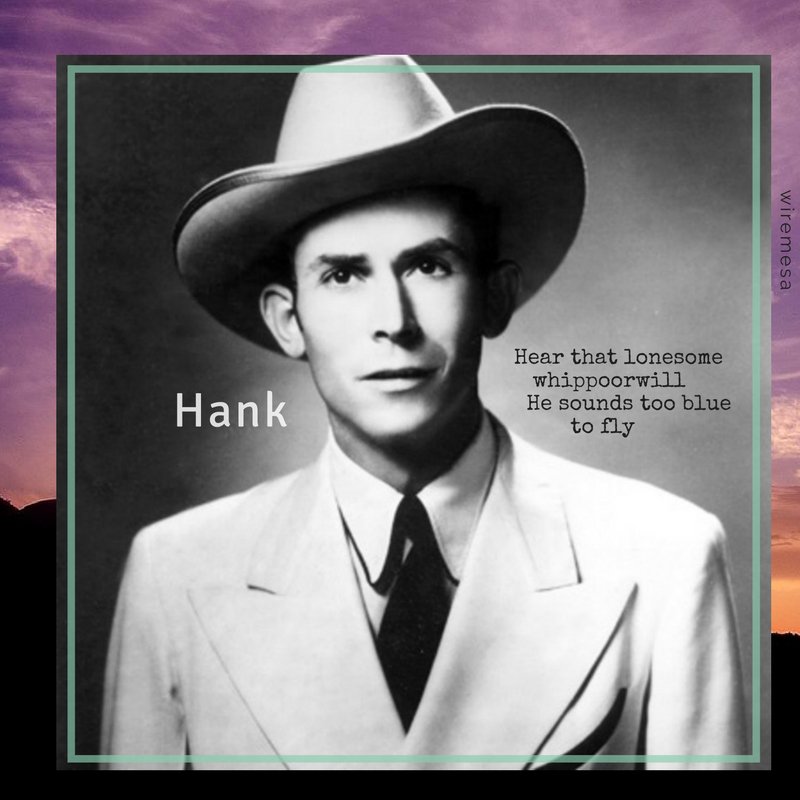 WiremesaDesign's tweet image. 