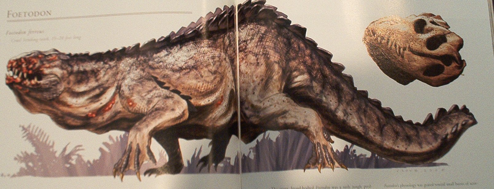 古代角竜 アガタロス 恐竜 キング コング 05 よりフィートドン 見た目は太ったオオトカゲだけど これでも恐竜らしい 四つ足恐竜というと 原子怪獣現わる 1953 のリドサウルスを思い出すなぁ T Co Jitrfcjywe Twitter 古代角竜 アガタロス 恐竜 キング コング 05 よりフィートドン 見た目は太ったオオトカゲだけど これでも恐竜らしい 四つ足恐竜というと 原子怪獣現わる 1953 のリドサウルスを思い出すなぁ T Co Jitrfcjywe Twitter
