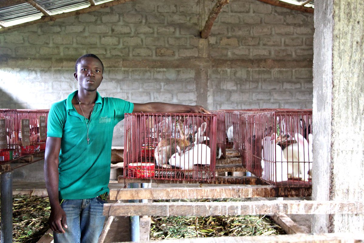 #AEC2016 Une agriculture florissante en #Afrique permettrait de relever les défis du chômage, de la sécurité alimentaire &amp; de l’exode rural.