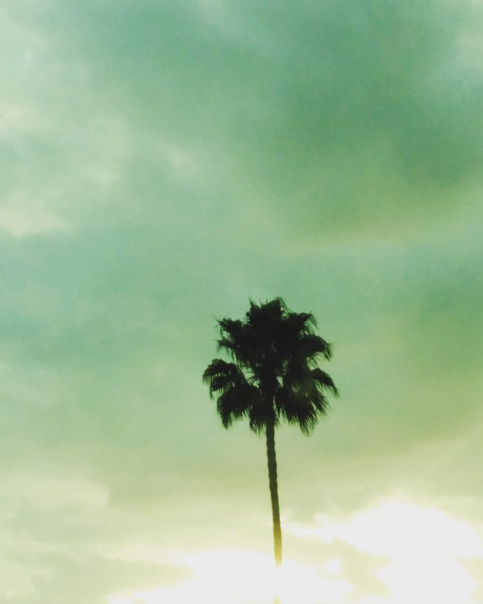 Kayla_wetsel's tweet photo. Took this photo the other day #clouds #BeautifulNature #pretty https://t.co/k1oIvPYreY