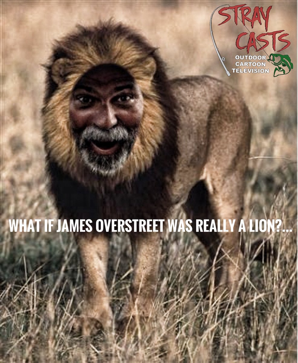 What if?? @Outdoorshooter was really a lion? We maybe get into that tomorrow night LIVE 7pm CT at StrayCasts.net