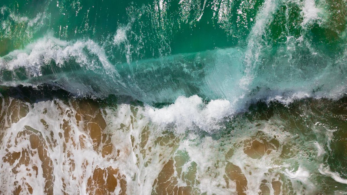 VICE Health tweet media