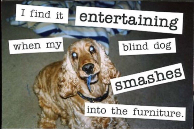 PostSecretsBest's tweet image. Poor dog 🐶