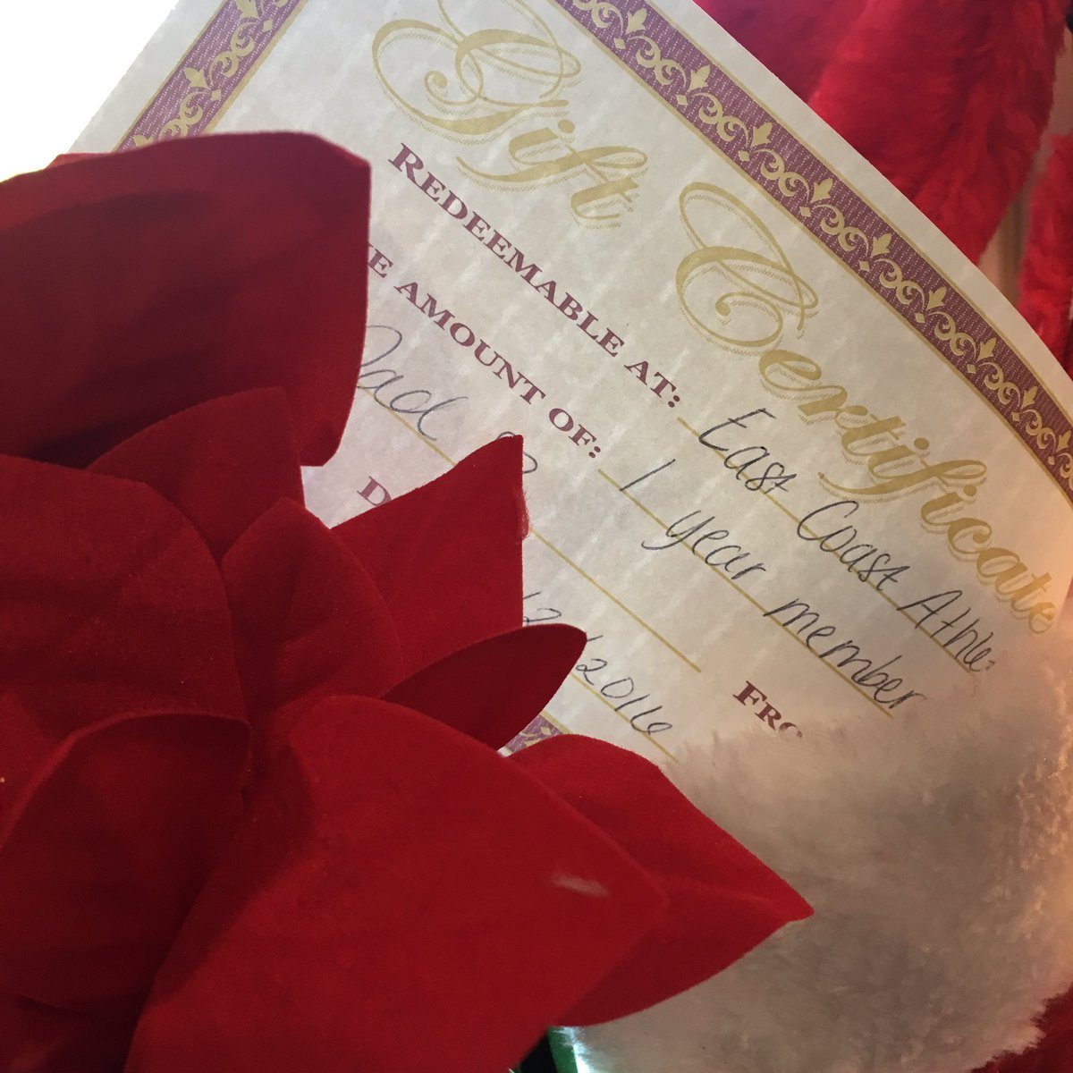 eca_capecod's tweet image. Give the gift of health this Holiday season! Gift Certificates available 🎄