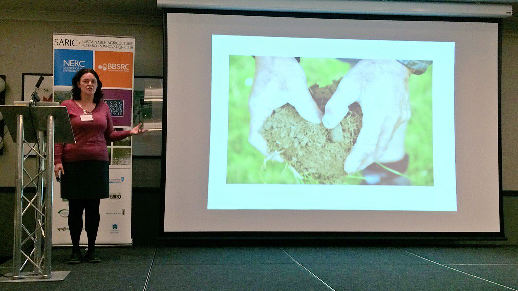 James Phillips tweet media