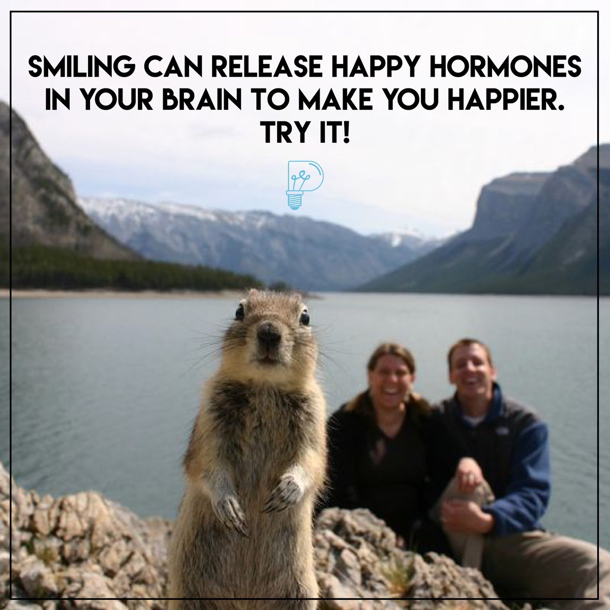 practical_psych's tweet image. Bite a pencil, it&apos;ll force you to smile :D