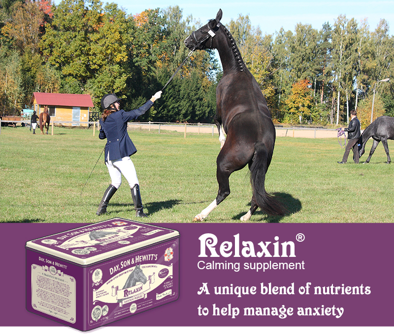 DaySonHewitt's tweet photo. A busy lifestyle can be stressful for a horse. Relaxin is a calming supplement which can help 🐴 https://t.co/bXR738TiGi https://t.co/90OrJbKcQ7