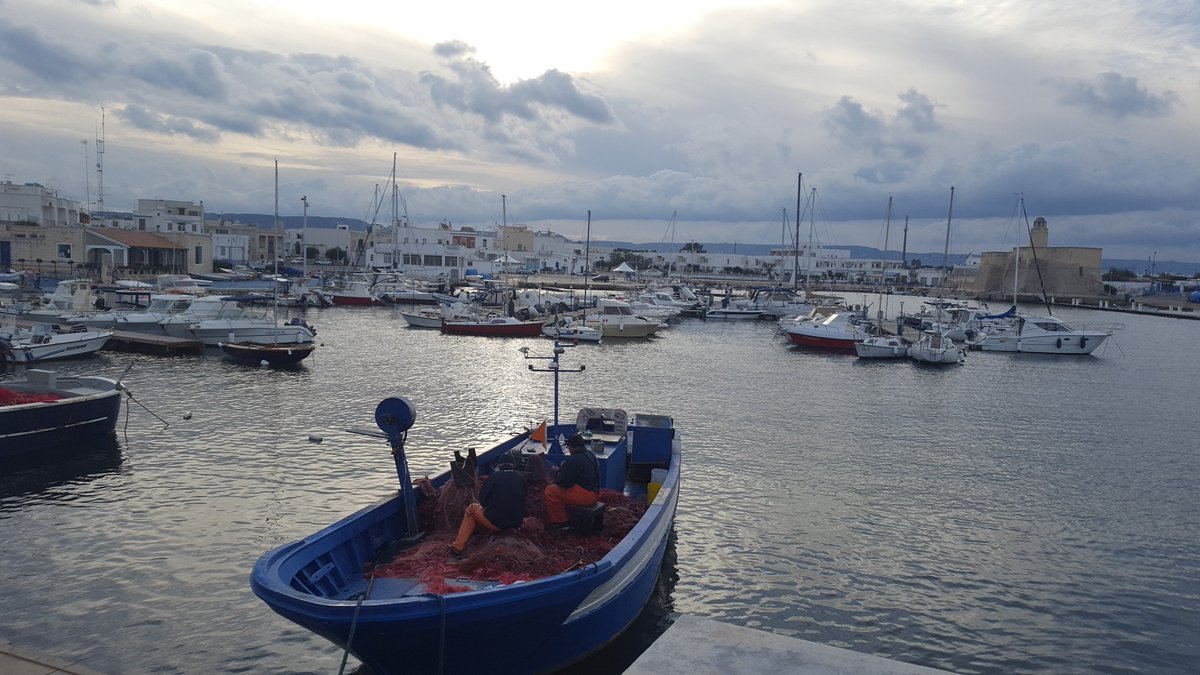 fratellinovello's tweet photo. #slowtravel #slowfood @apuliaslowtrav #winter at #seaside https://t.co/5iI8sr3kjE