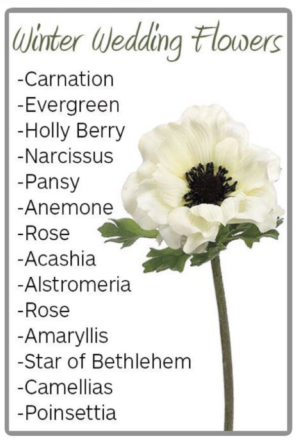 #weddingtiptuesday 
Just because you are having a #WinterWedding does not mean you have to give up on gorgeous flowers! #rfceventcenter