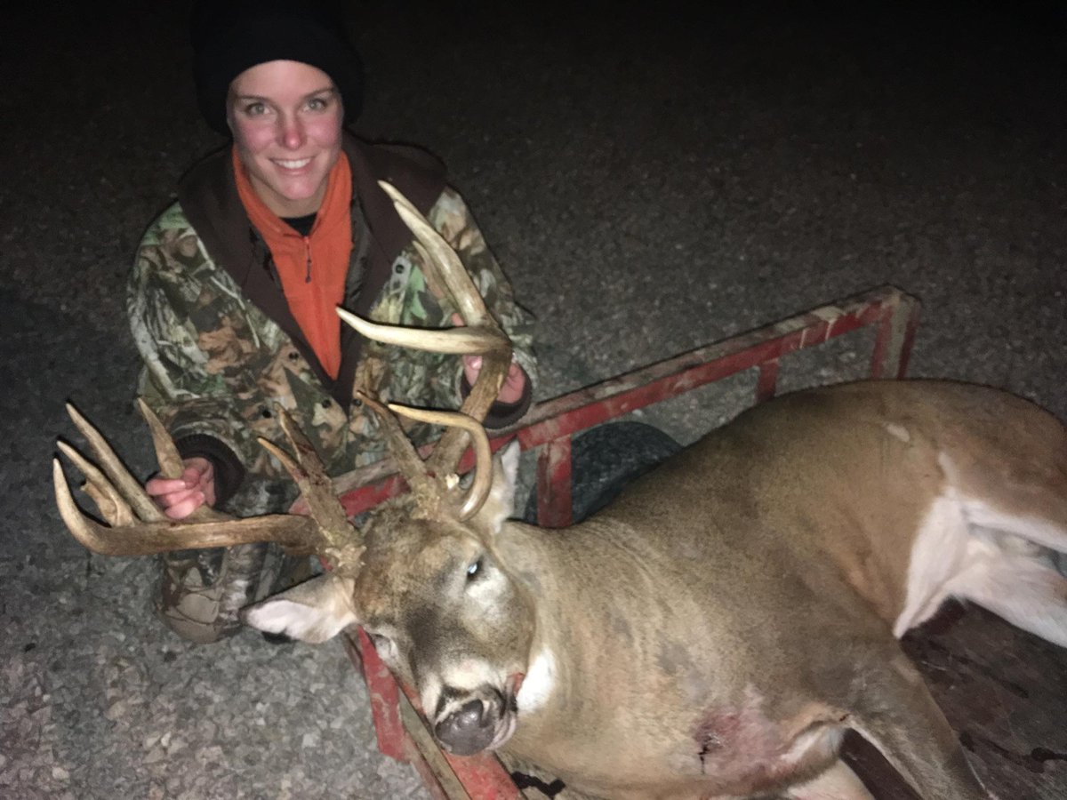 Taylor Lee tweet media