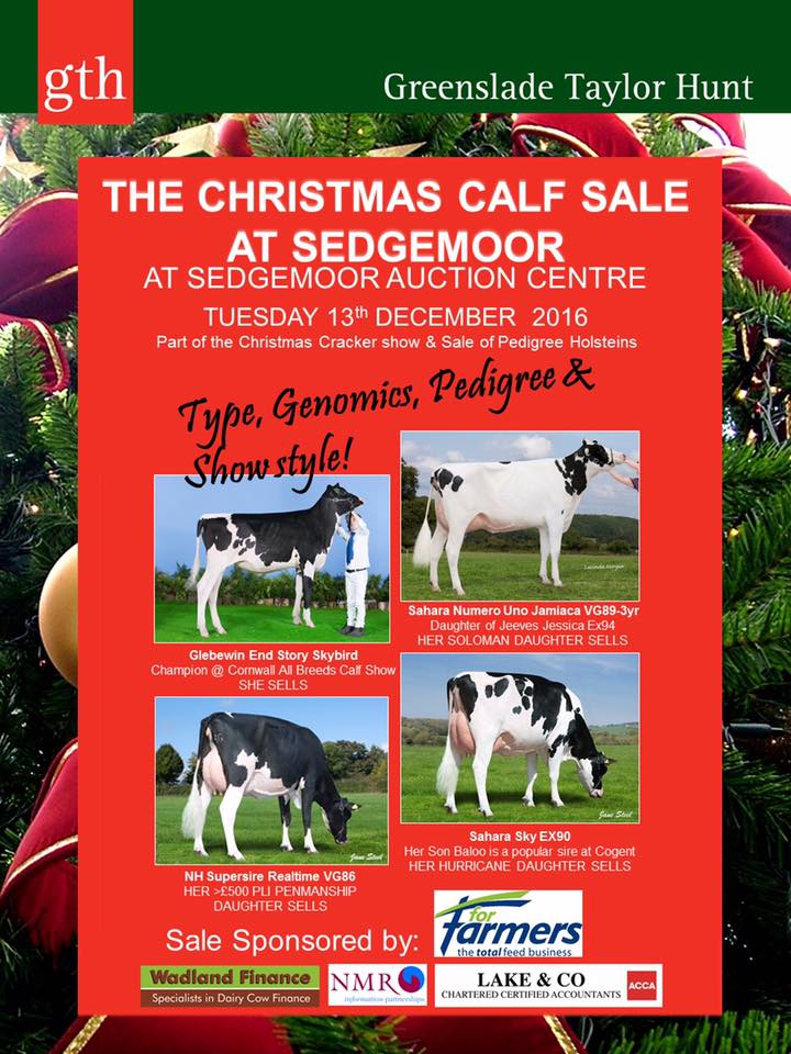 ForFarmersUK's tweet photo. Looking forward to the @GTHMarket Christmas Cracker Show &amp; Sale on Tuesday 13th December @andyclem @NMRgroup #teamdairy #proudtosponsor https://t.co/rtdhx3UWVi