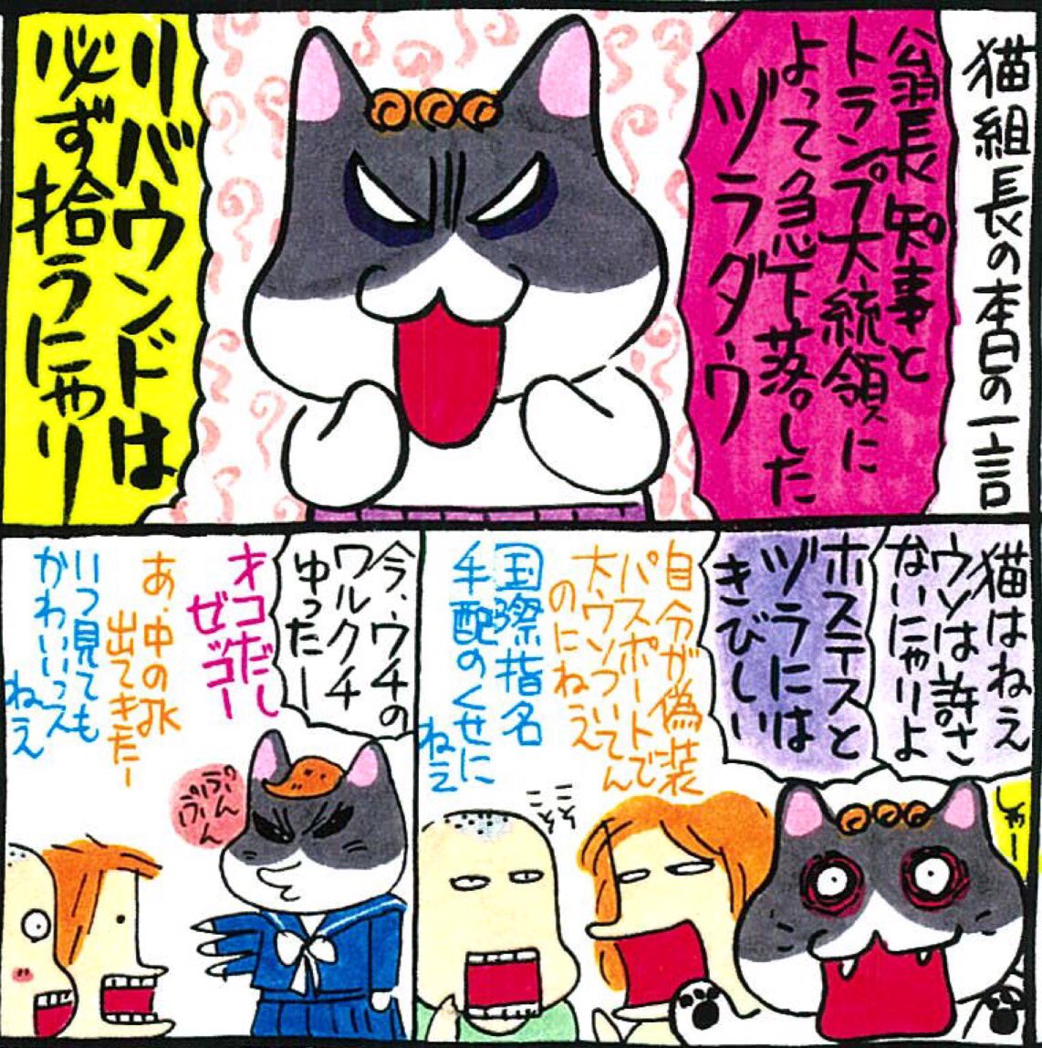 猫 組長 ツイッター