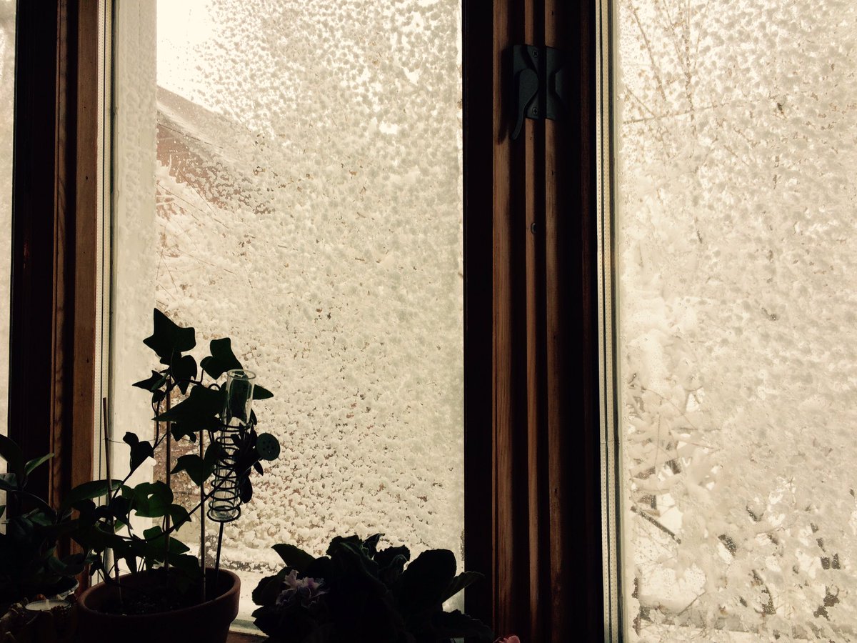 umrog's tweet photo. A solid snow day for some thesis writing and getting my poster tuned up for #MAC16 🤓❄️ https://t.co/Zy2s23aWGA