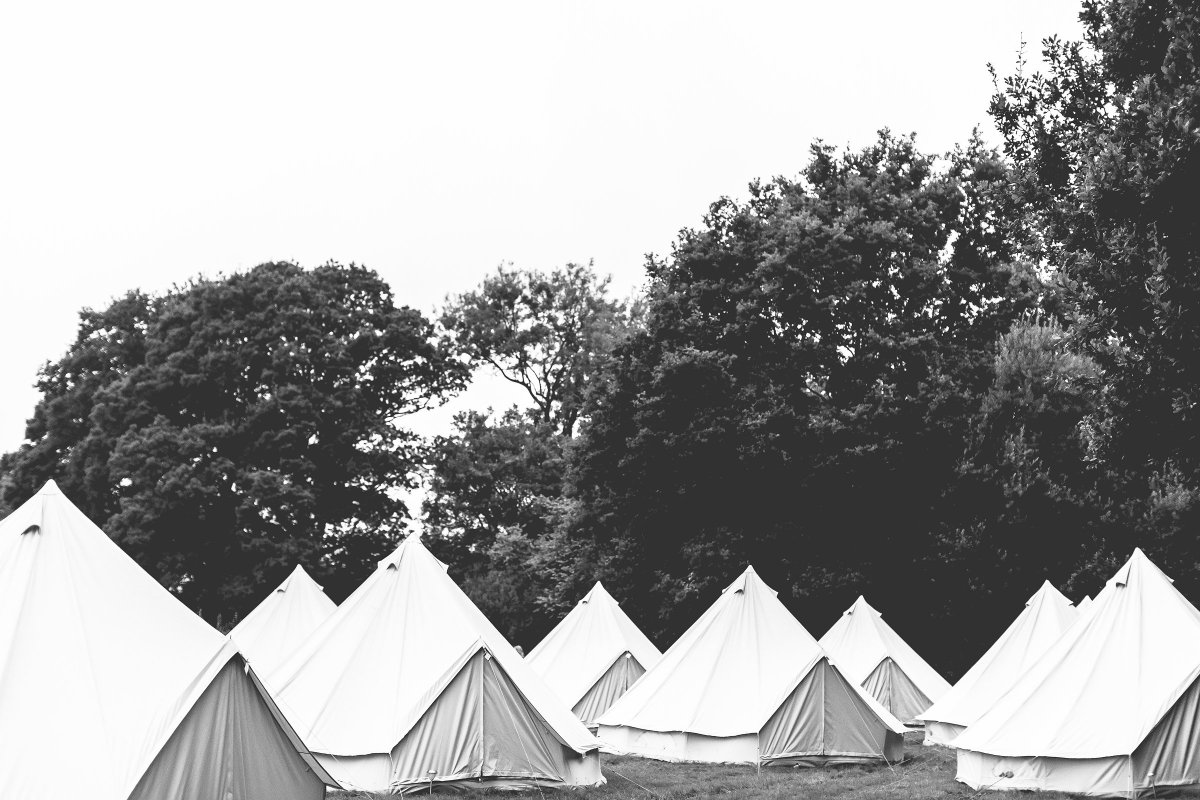 Timber & Canvas tweet media