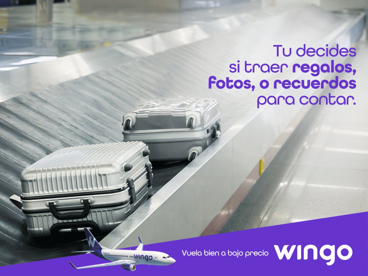Wingo on Twitter: \