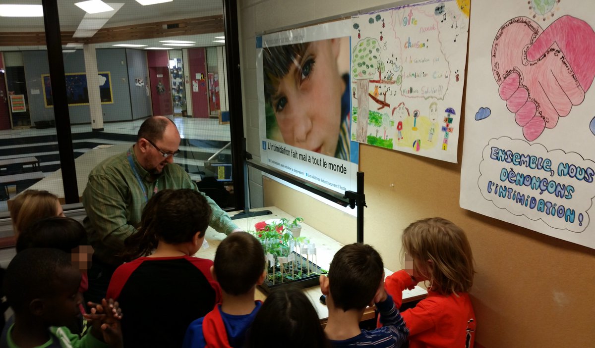 CapitaineRFR's tweet photo. Avec M. Mario, dans le cours de sciences, les élèves font pousser des plantes. #LaurierCarrière #SciencesLC #FiertéLC https://t.co/VcqzGt0MMY