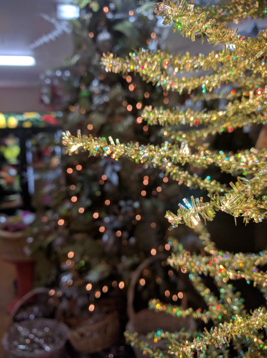 EbtCayman's tweet photo. Need a Christmas Tree?  We still have a wide selection of artificial trees available.  Most are on sale starting today 20% off! https://t.co/ECy1SkQIui