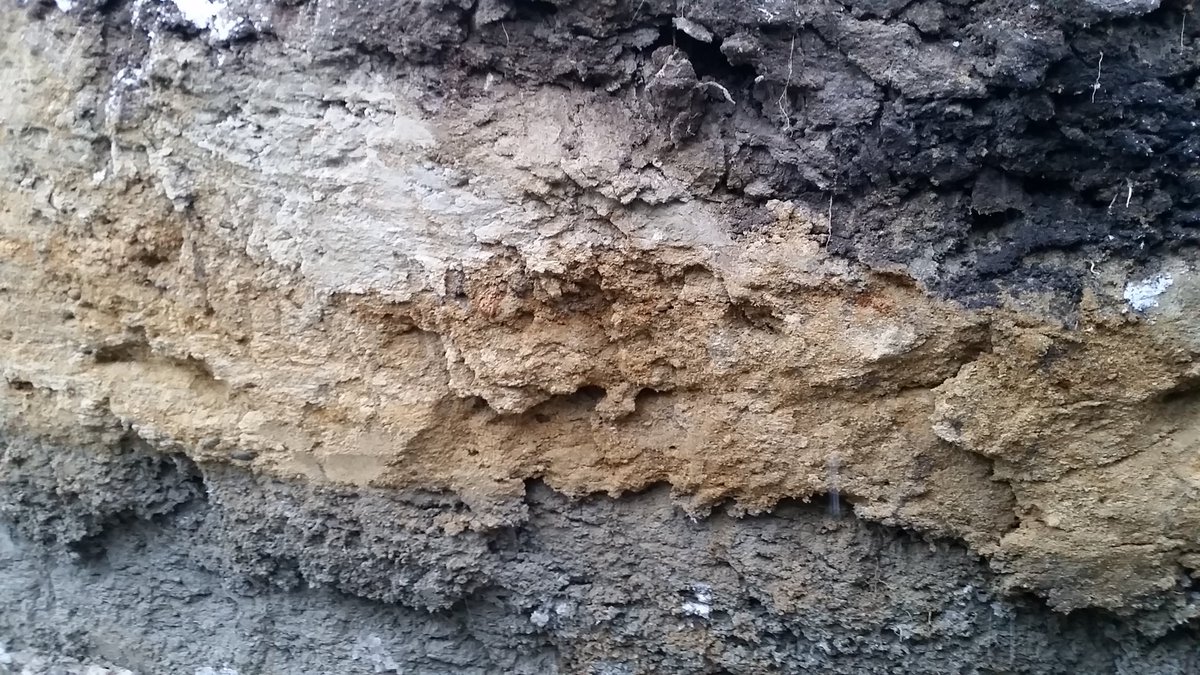 Happy Belated  #WorldSoilDay  giving thanks for our fab #terroir making great #wine in #pontiacQC