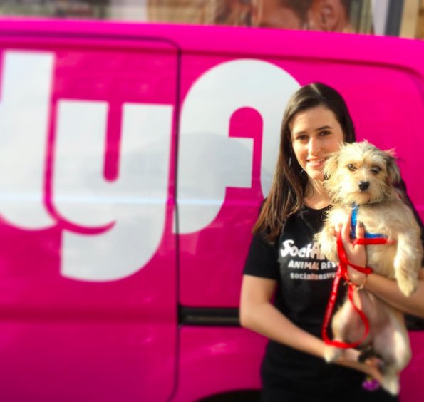 lyft's tweet photo. Our @Lyft_NYC team partnered w/ an animal rescue organization to give cuddlestaches to adopted dogs &amp; donate money: https://t.co/TyK7gasnO7 https://t.co/NXLCjEQrrW
