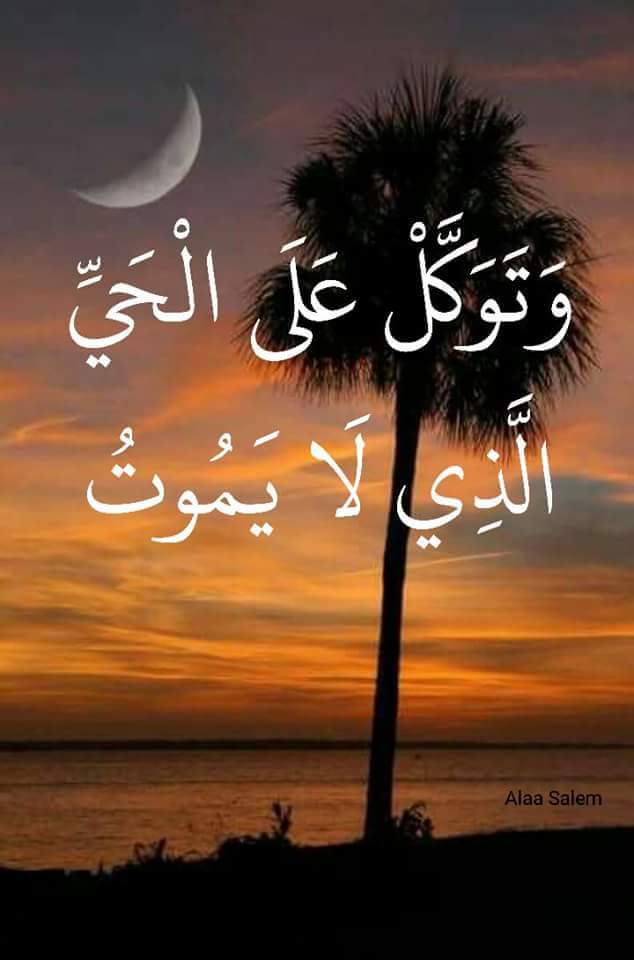 ﻻ تتوقع شيئاً
وﻻ تنتظر شيئاً
فاجمل اﻻشياء
تلك التي تاتي
....صدفه..
مساء اﻻنوار