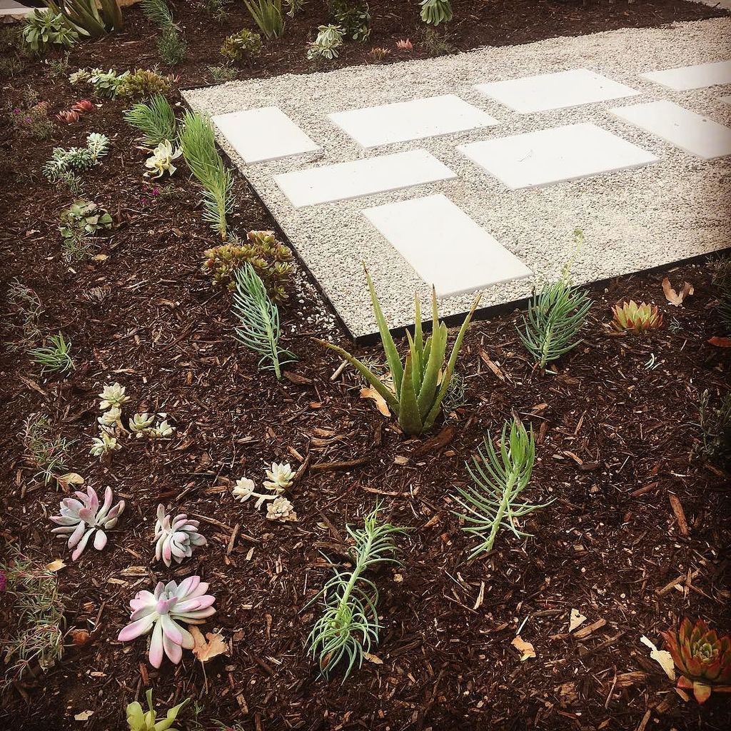 Canyon Blvd. New front yard planting, and mini patio. All the succulents are cuttings from… ift.tt/2gNwTQK