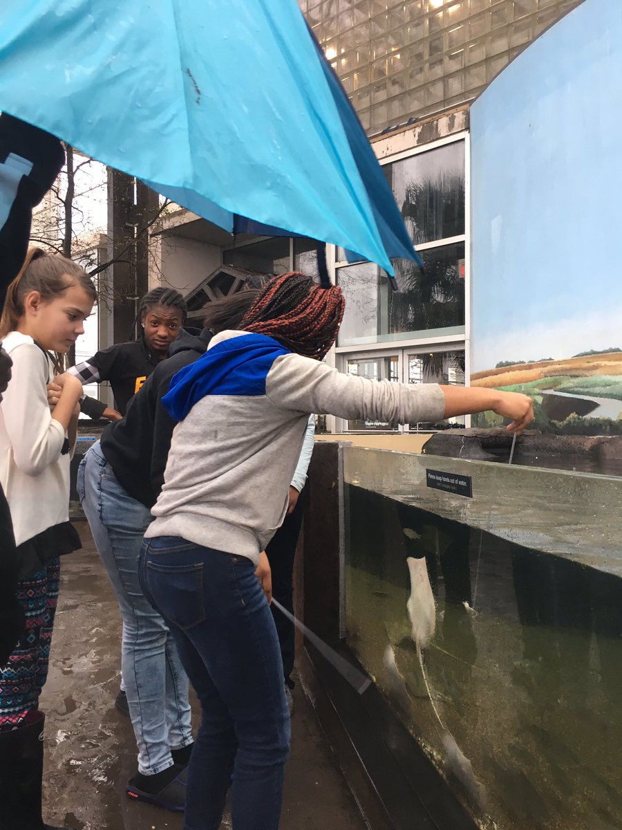 the_speducator_'s tweet photo. Students learning about fossils and exploring at #charlestonaquarium #fmsscience #scientists https://t.co/9K4Zs7H6uJ