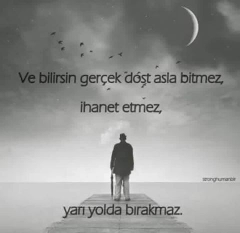 ripenes ri tweet media