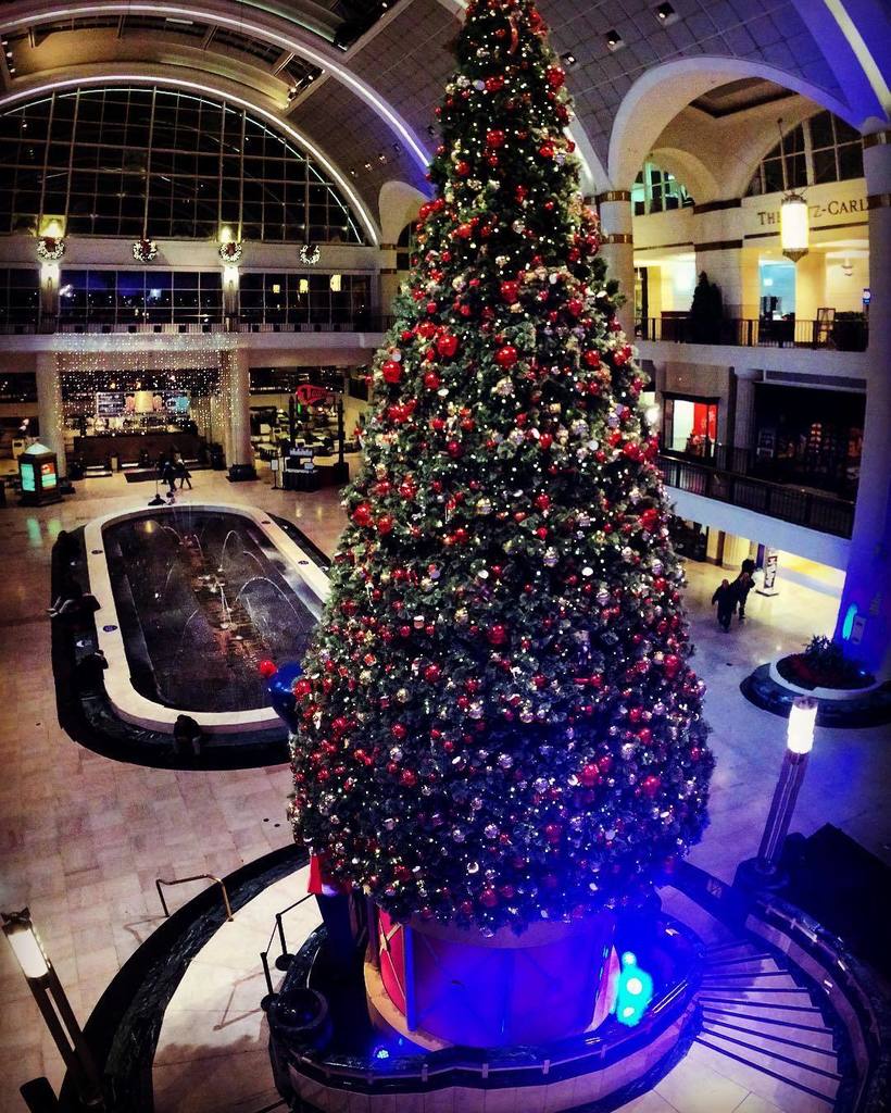 ChooseCLE's tweet photo. It's beginning to look a lot like..... #CLEmas! @towercitycinemas @towercitycenter #xmas #… https://t.co/8zPJwDaJGk https://t.co/S8jeB9zTSm