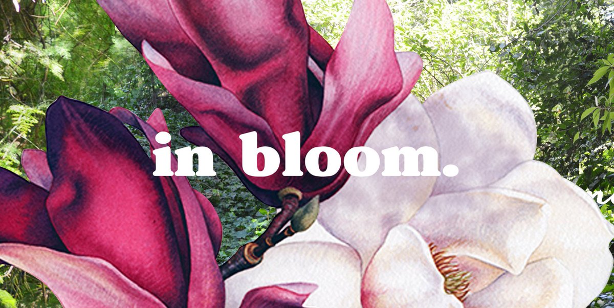 Bellmur's tweet photo. El Equipo #Bellmur se inspiró en texturas y colores de la naturaleza para crear #InBloom #Verano17 🌿 ¡Te invitamos a descubrirla! https://t.co/uVFHtVhyZi