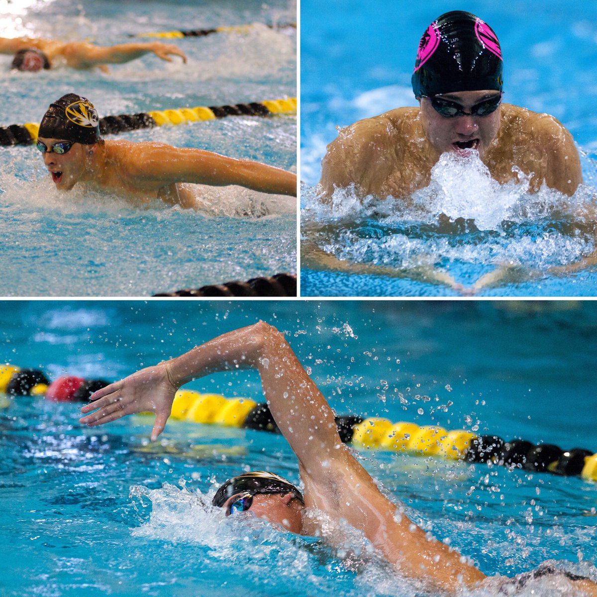 MizzouSwimDive's tweet photo. Good luck to our Tigers at World Championships this week! #Windsor2016 @groters_ @mackdarragh @mchad95 https://t.co/Qn0ucjToNL