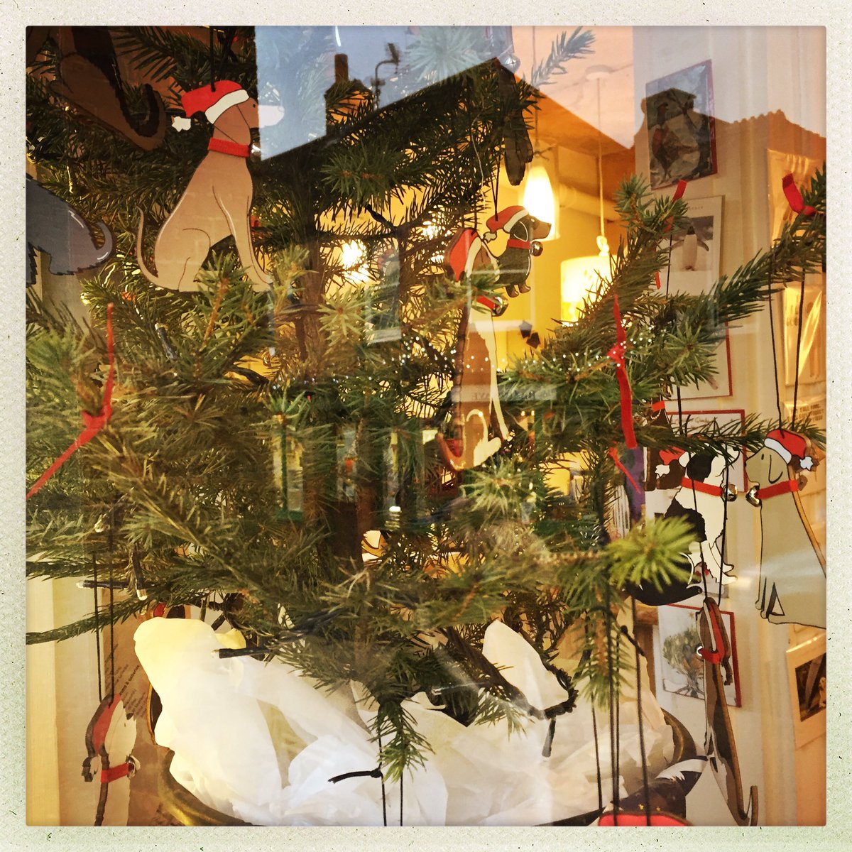LABGInfo's tweet photo. So many pretty shop windows in #Langport come & do your #Christmas #gifts #shopping here #WhereItsTo #ShopLocally #Shift10 #GBHighSt https://t.co/NmAQWAsh2n
