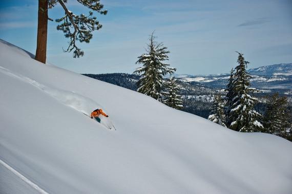 _SnowBuzz tweet picture