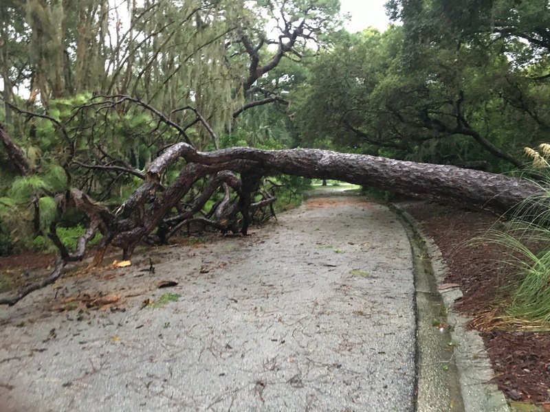 Can communities find a way to easily receive citizen issue reports? ow.ly/cnMT306So7Z @SeeClickFix <a href="/StPeteFL/">St. Petersburg, FL</a>