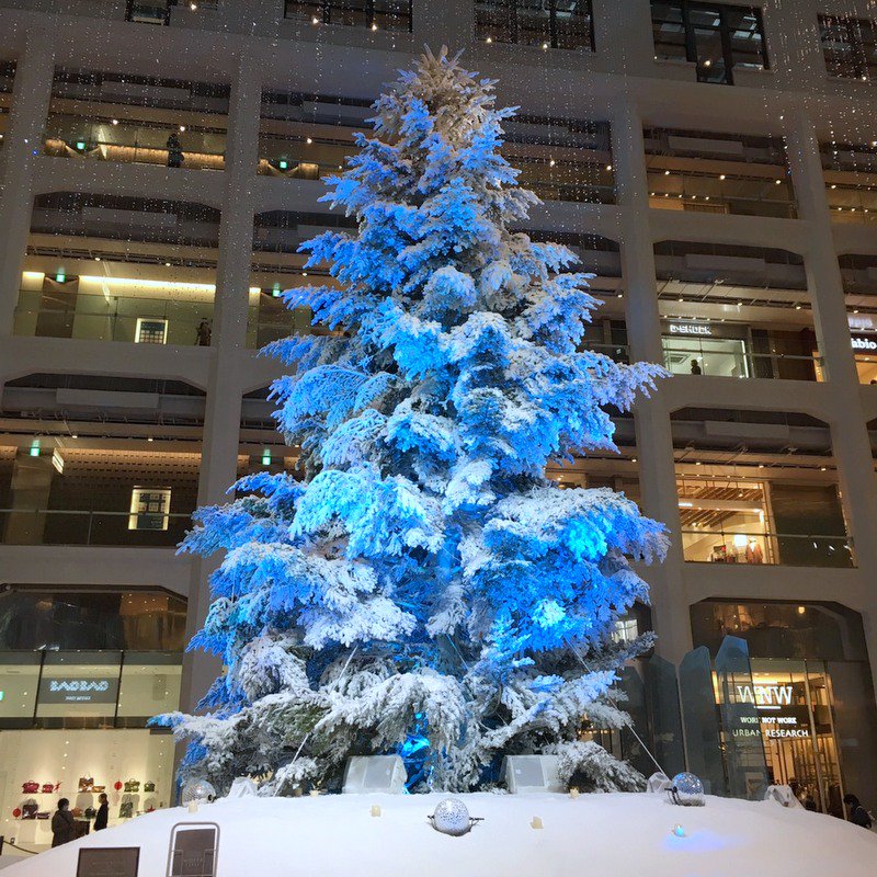 It's time to inspect the most important international Christmas trees🎄