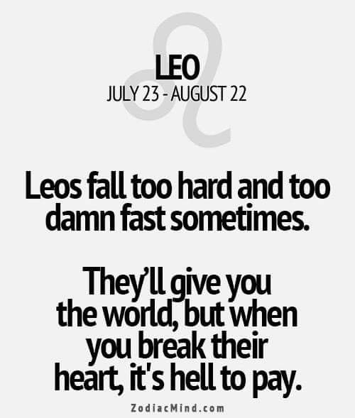 henrive2's tweet image. 