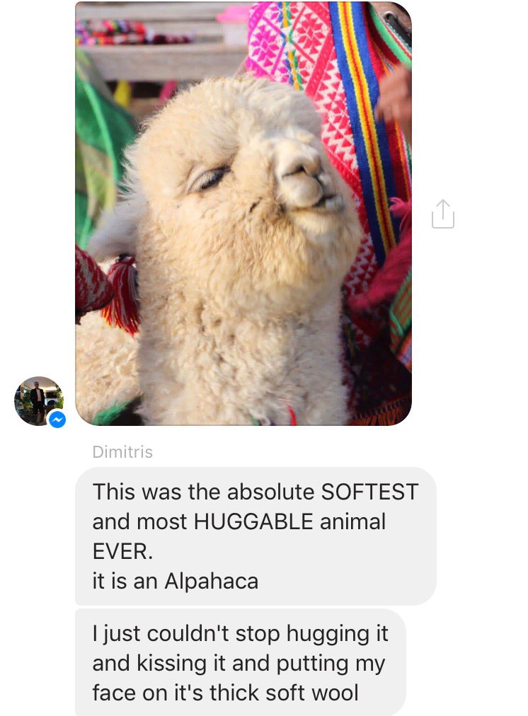 RT @Beavs: My dad is in Peru having a melt down over alpacas. https://t.co/d7JkPM1tWs