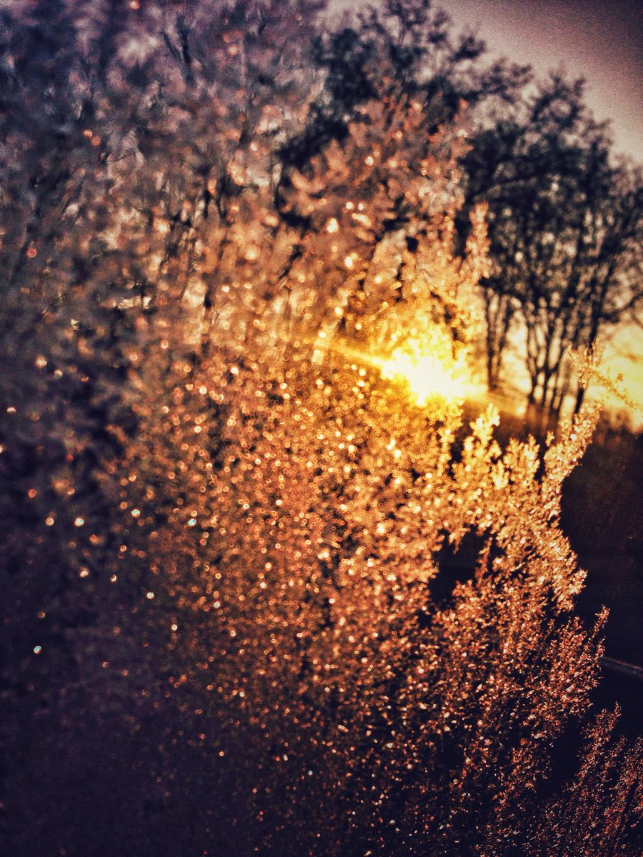 Hmm fijn winterweer! Frosty! #iphotography #tobuyornottobuynewiceskates