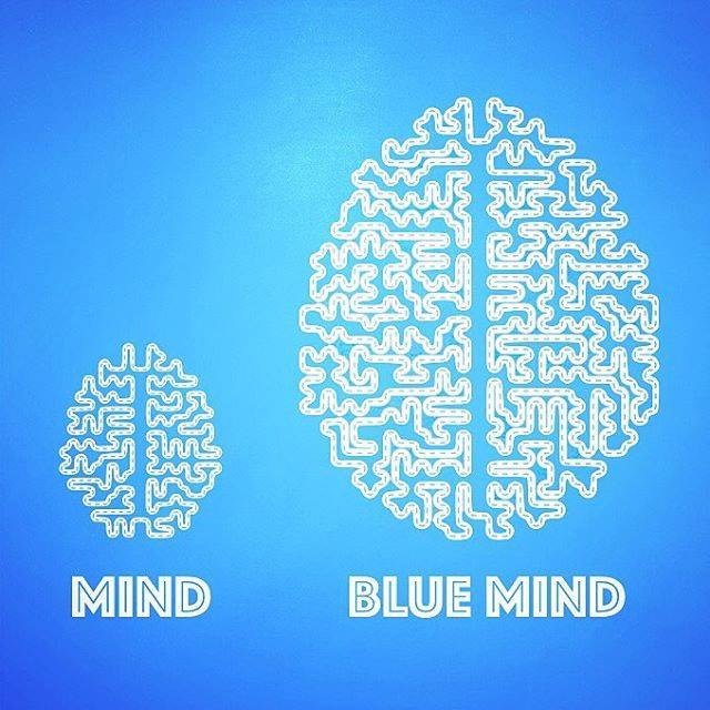 The Blue Mind Movement tweet media