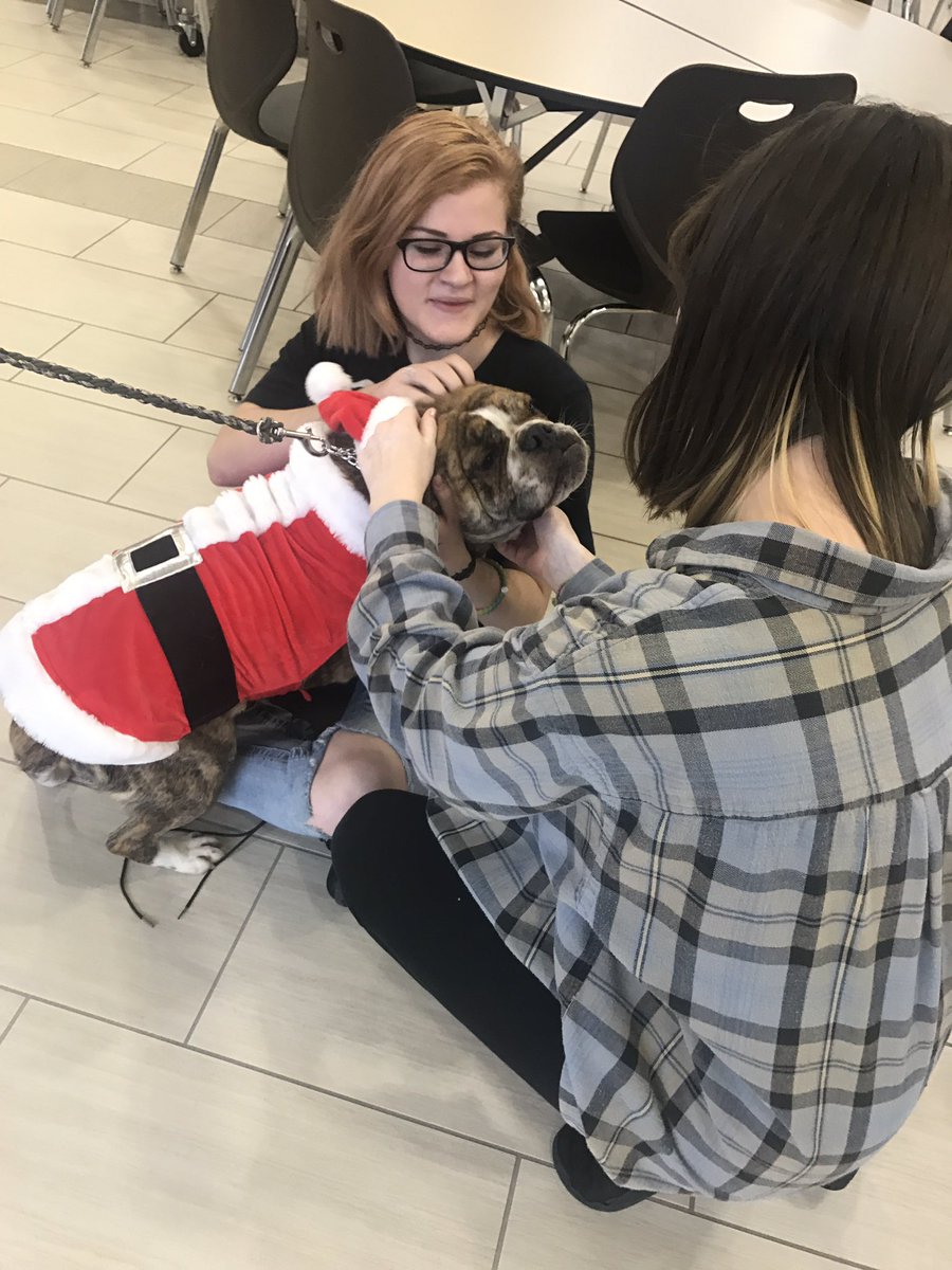 FHS_LMC's tweet photo. Come and less the stress in the CCA. @HamiltonEastPL @LOALNCI @FHS_CCA https://t.co/4JOczxR3GR