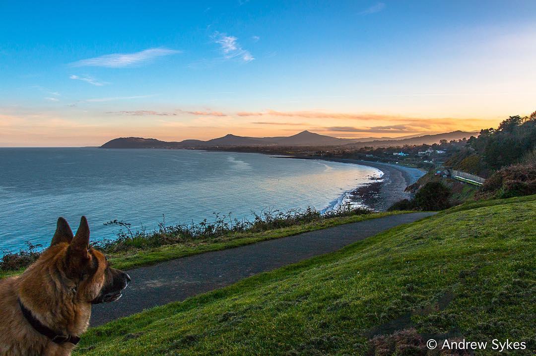 VisitDublin's tweet photo. 'It's a dogs life'! A great shot from #Killiney, a beautiful haven just 35 mins from the centre of #Dublin! 📷 IG/meandmygsd 😎 https://t.co/OmLnBm2prX