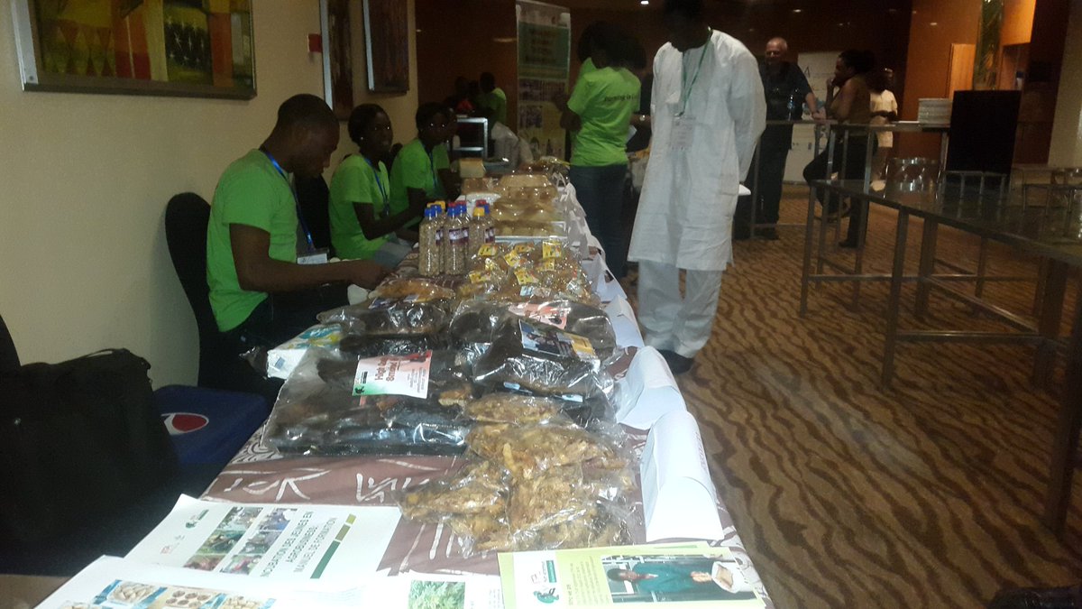 Exciting exhibition of agricultural produce by young farmers...African youths are superb. #EnableYouth #2016AEC