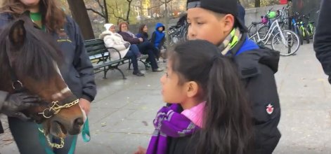 crgshldn's tweet photo. #WhoYellsAtPonies? Not these children for certain https://t.co/rTVhPOwoKs