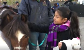 crgshldn's tweet photo. Love and Hate #WhoYellsAtPonies https://t.co/x8JgOKdNoA