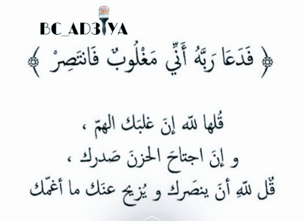 hassanalameri.com (@abuabudll666) on Twitter photo 