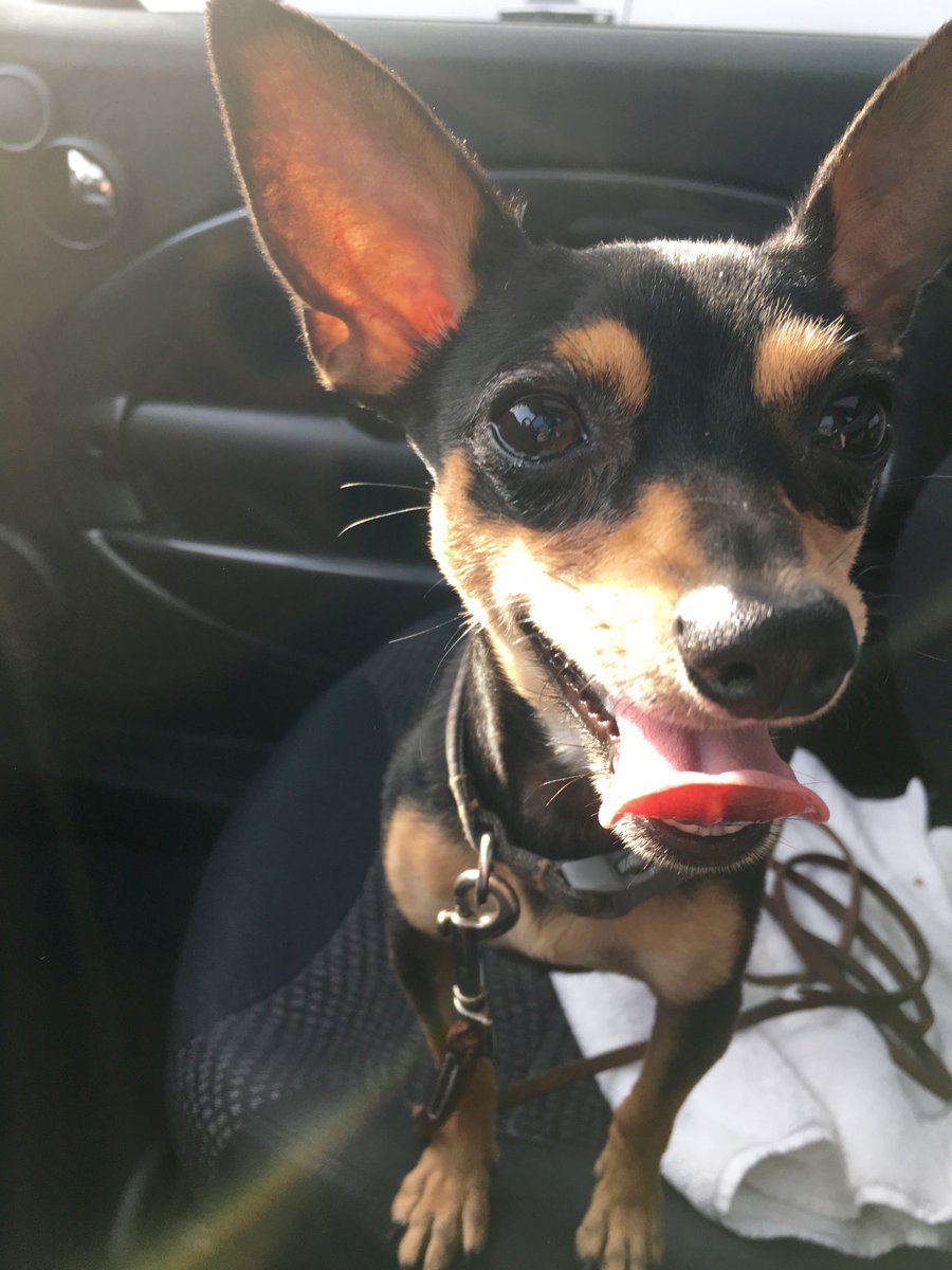 A certain someone (Sammy San Miguel!) is having The Operation today. Thanks to Sammy's dad for trusting us with him.