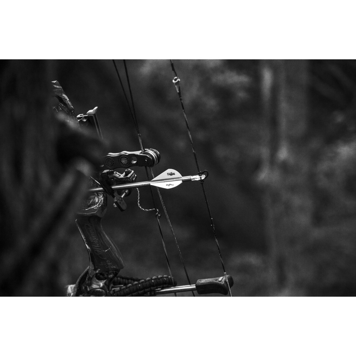 WaywardOutdoors's tweet photo. The late season grind has begun #bowhunting #whitetail #deerseason #deerhunting #waywardadventure https://t.co/kIqbXjHThg